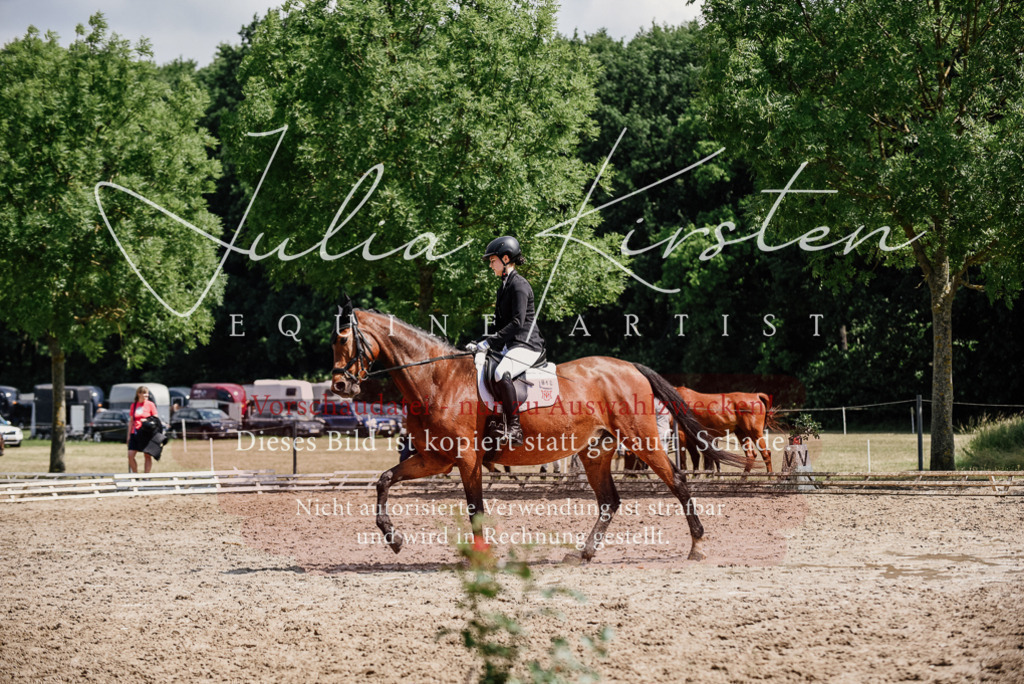 DSC_1011 | Pferde- und Turnierfotografie in Westsachsen. Pferdeportraits, Auftragszeichnungen und intuitive Kunst.