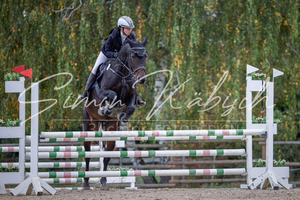 20251012-_3LI4353 | Tierfotografie Pferde, Hunde, Katzen, Haustiere.
Turnierfotografie Reitturniere, Reiten, Springreiten, Dressur in Hanau, dem Main-Kinzig-Kreis und dem Rhein-Main- Gebiet um Frankfurt
