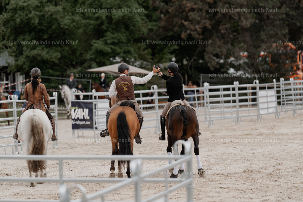 WE__Stoib_Rinder_PI2025_3017 | Pferd International München 2025