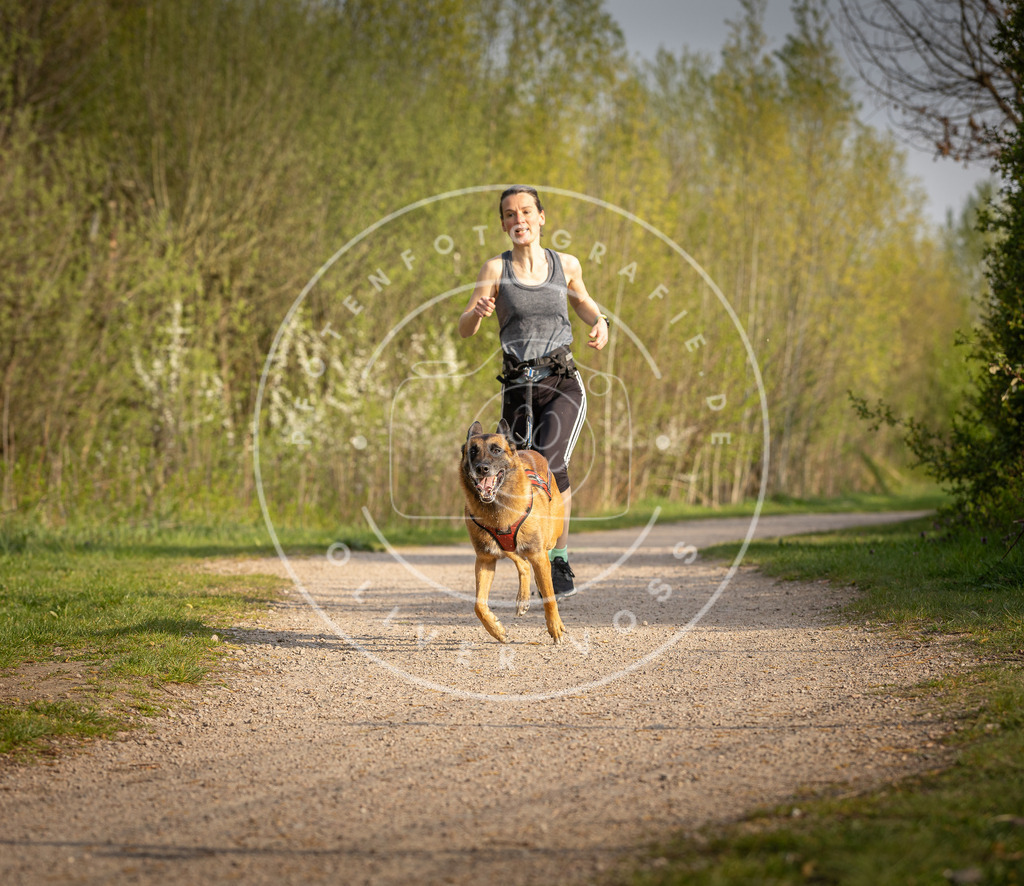 Pfotenfotografie_DV3A4568 | Hundefotografie, Tierfotograf, Pfotenfotografie, Fotoshooting Hund, Hunde Portrait, Hundesport, Hundeportraits, Heideshooting, Hunde, Sportfotograf, Hundefotograf, Turnierhundsport, THS,  - Realisiert mit Pictrs.com