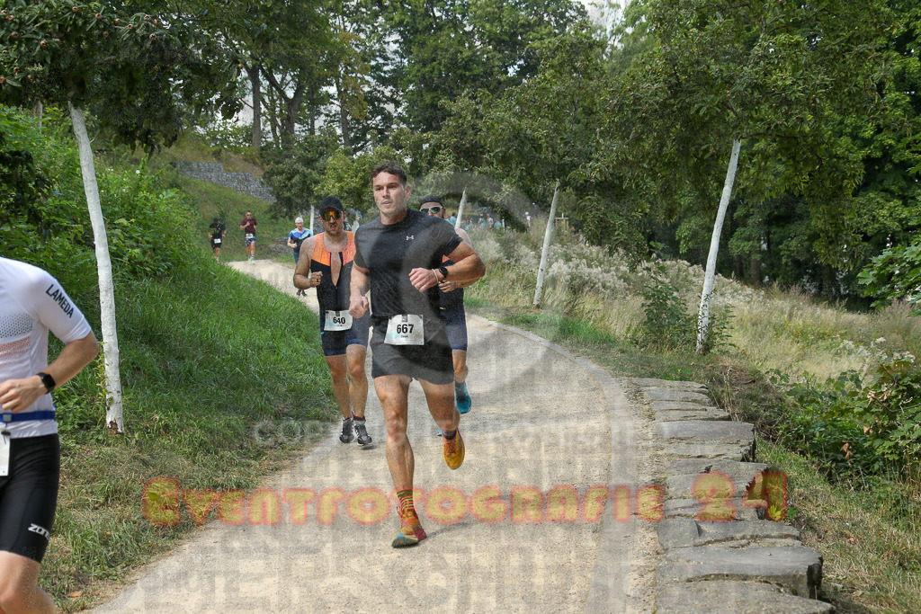 250824_1433_EX1_6651 | Sportfotografie im Rhein-Sieg Kreis, Köln, Bonn, NRW, Rheinland Pfalz, Hessen, etc. Unser Tätigkeitsfeld umfasst den Laufsport vom Volkslauf über den Marathon, Duathlon, Triathon bis zum Ultralauf wie Kölnpfad Ultra oder Schindertrail.