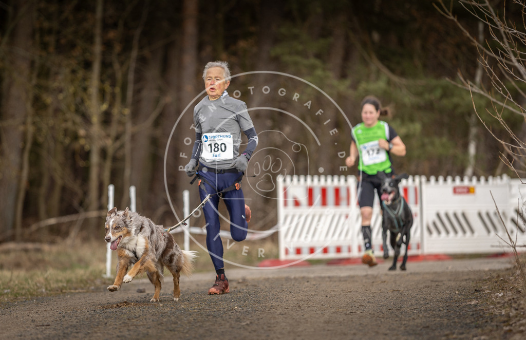 DV3A5379 | Hundefotografie, Tierfotograf, Pfotenfotografie, Fotoshooting Hund, Hunde Portrait, Hundesport, Hundeportraits, Heideshooting, Hunde, Sportfotograf, Hundefotograf, Turnierhundsport, THS,  - Realisiert mit Pictrs.com