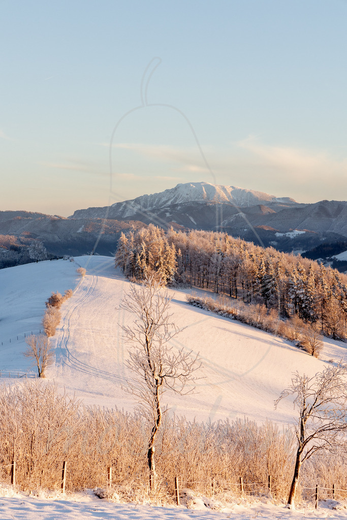 Winter am Hochkogelberg mit Blick zum Ötscher | Ihre Fotografin im Lungau, ihre Fotografin im Mostviertel, Wandbilder Onlineshop, Imagefotos für Ihr Unternehmen,  - Realisiert mit Pictrs.com
