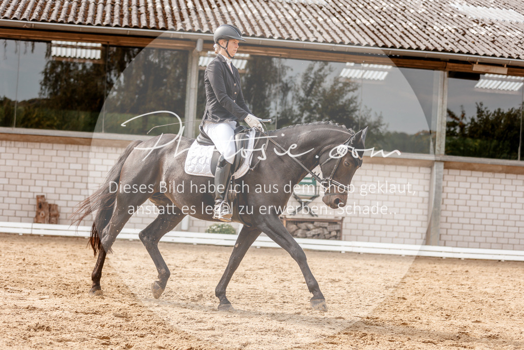 3I6A3929 | Stimmungsvolle Portraits und Reitsportfotografie im Ruhrgebiet und im Münsterland.

Pferdefotografie, Hundefotografie, Tierfotografie, Reportagen, Portraits von Tier und Mensch, Turnierfotografie in Bochum, Recklinghausen, Marl, Haltern am See, Dülmen.. - Realisiert mit Pictrs.com