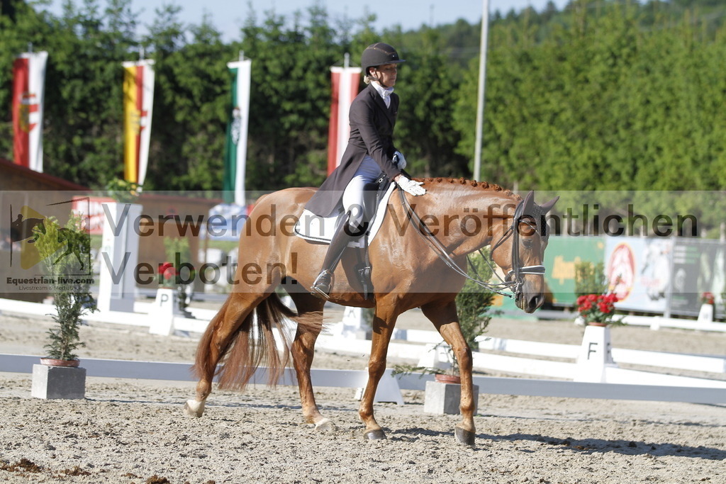 _MG_3282 | equestrian-live-com