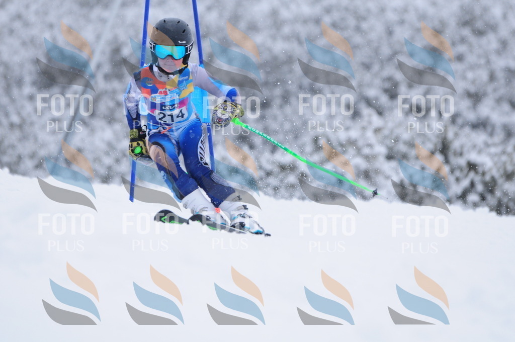 C2292 | holidayphoto