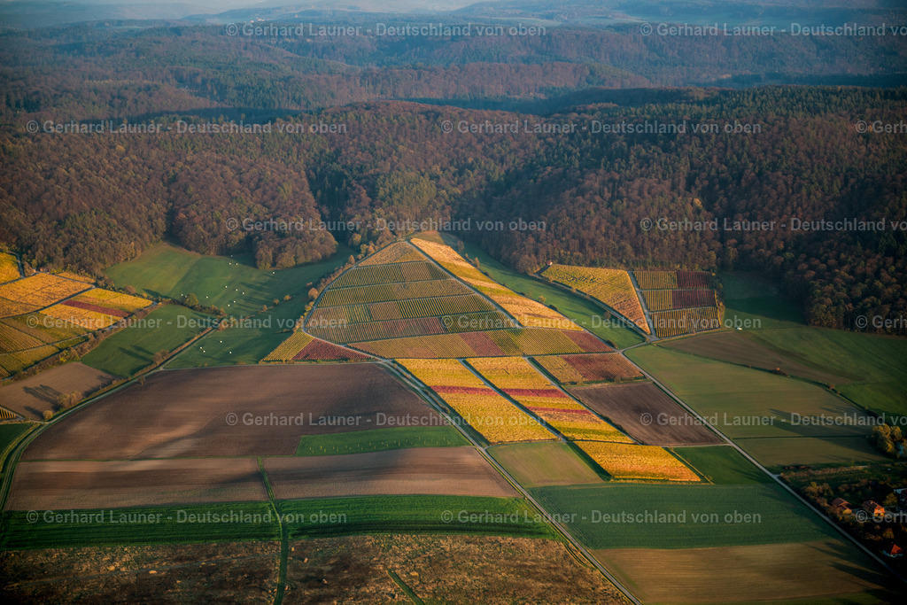 9000492tif | Weinbergslandschaft bei Greuth