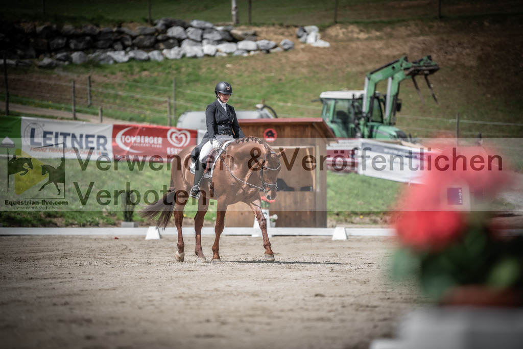 DSC_2594 | equestrian-live-com