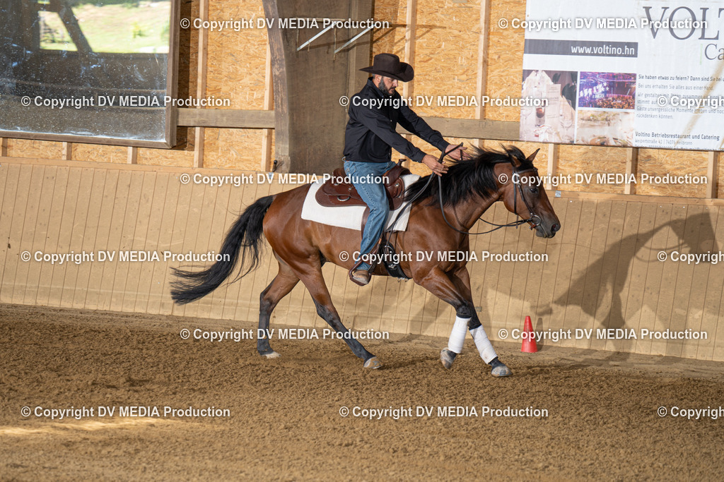 DSC00134 | dv-media-shop - Realisiert mit Pictrs.com