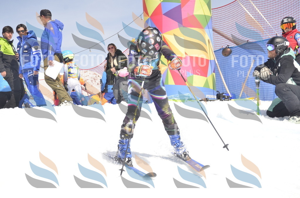 _ELE9269 | holidayphoto