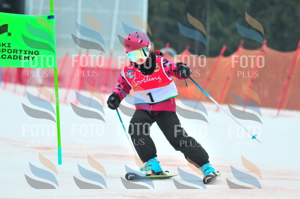 C0385 | holidayphoto