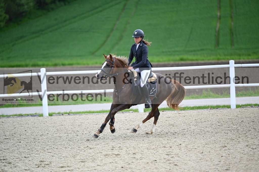 DSC_0395 | equestrian-live-com