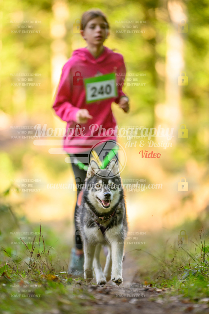 MompixPhotography_Yens2025_B3-184 | PayLife