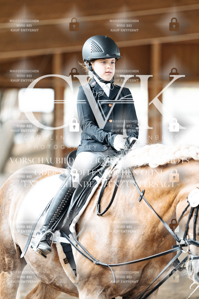 CK902052 | Turnierfotografie Pferdefotografie Trier Rheinland-Pfalz Pferdesport Reitsport Tierfotografie Sportfotografie Pferdevideo Pferdevideografie Equestrianvideography equestrianphotography  - Realized with Pictrs.com