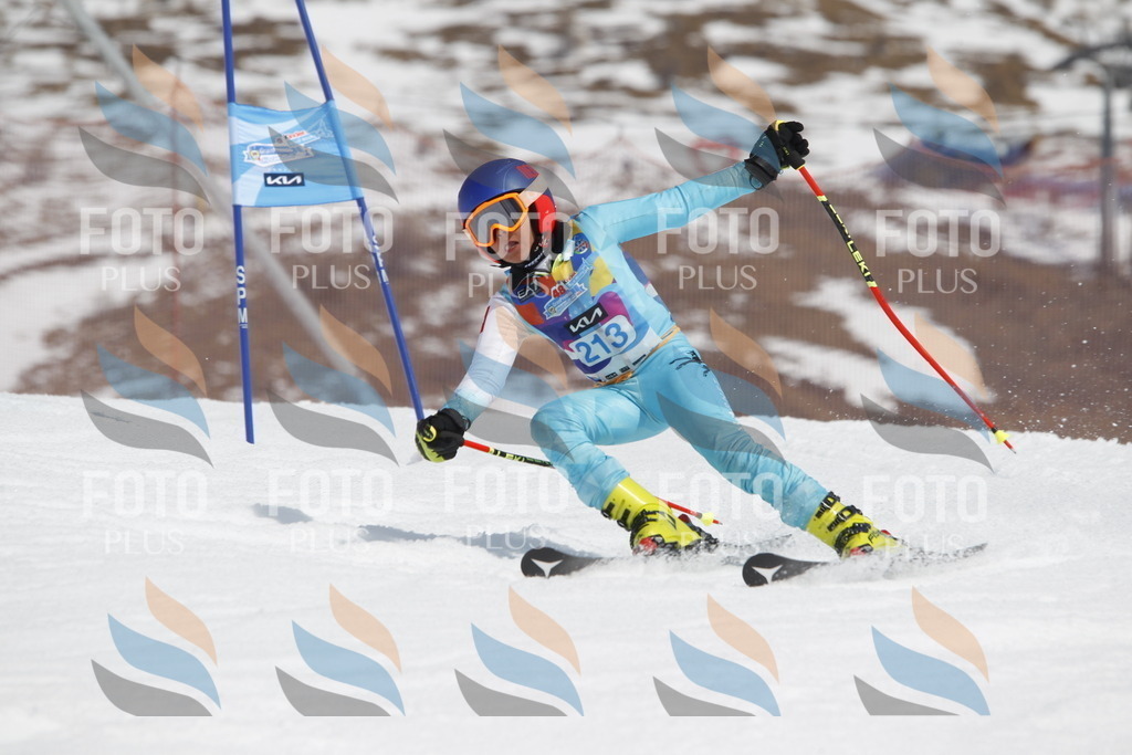 _U3G2261 | holidayphoto