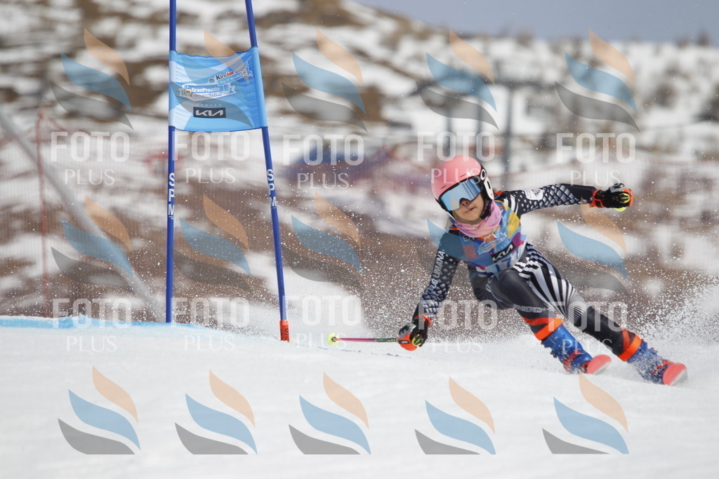 _U3G1675 | holidayphoto