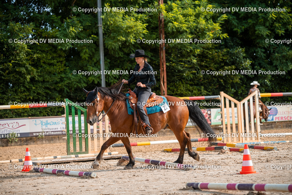 ZS3_9136 | dv-media-shop - Realisiert mit Pictrs.com