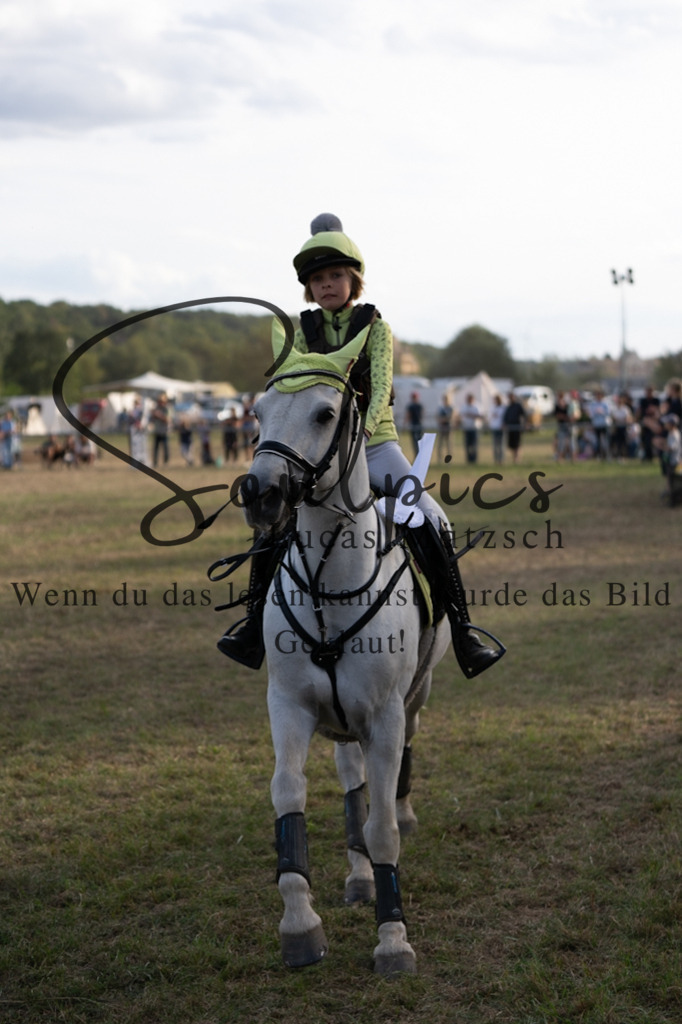 A7V09930 | Pferdefotograf