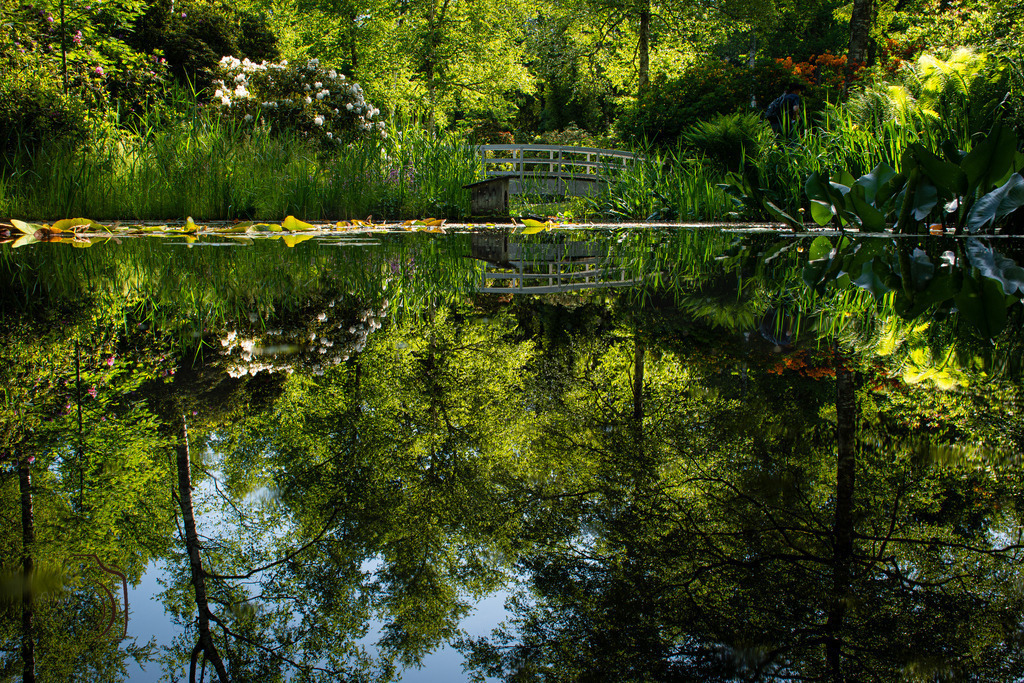 Reflektion | Holzisphotography, Landschaftsfotografie, Wildlifefotogorafie - Realisiert mit Pictrs.com