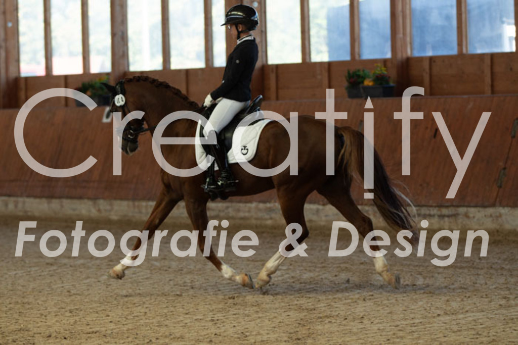 IMG_7877 | Creatify Fotografie