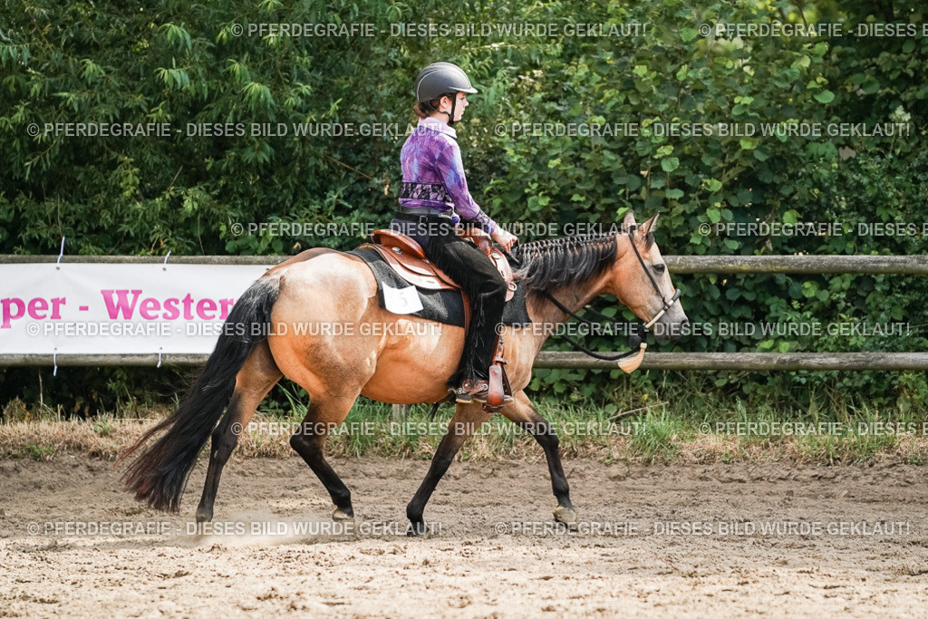 DSC04909 | Pferdegrafie