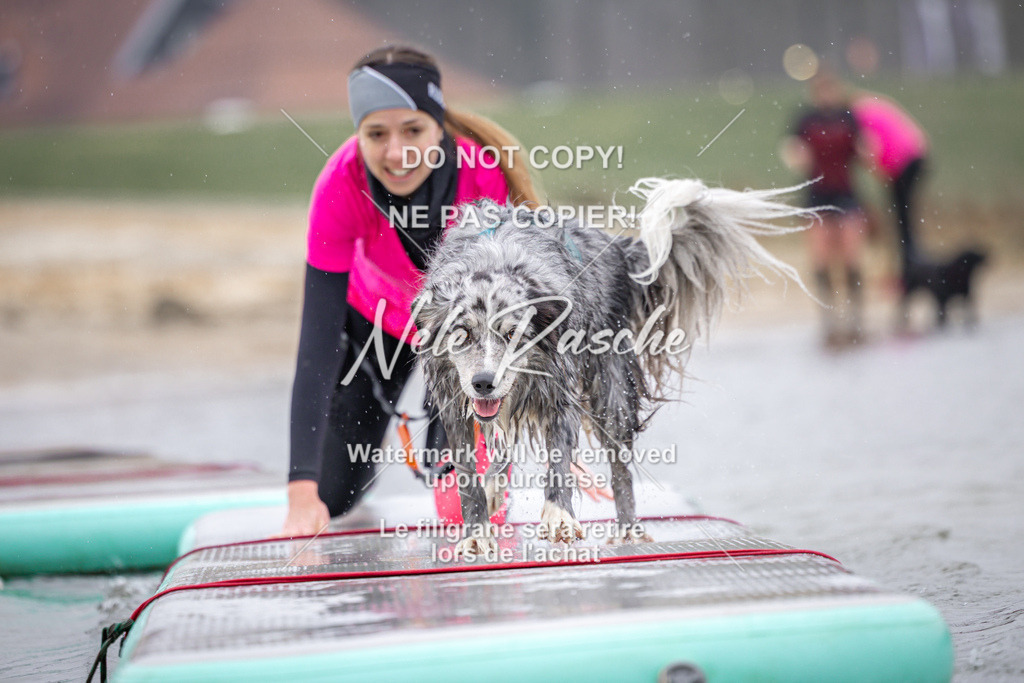 nelerasche_Hulsbeek_Sa1030-1100_139 | nelerasche