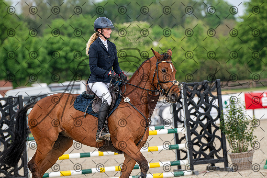 KPT_3128 | andre_photographic