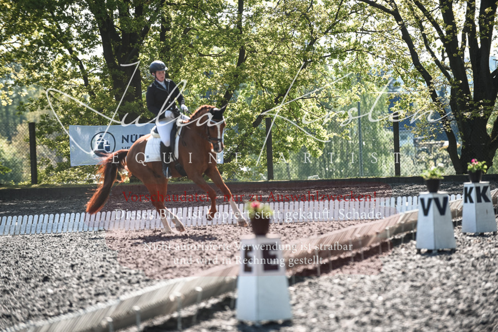 DSC_8754 | Pferde- und Turnierfotografie in Westsachsen. Pferdeportraits, Auftragszeichnungen und intuitive Kunst.