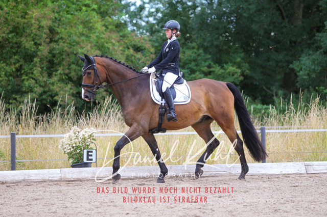 DKP46749 | Turniersportfotografie; Pferdefotografie; Dressurfotografie