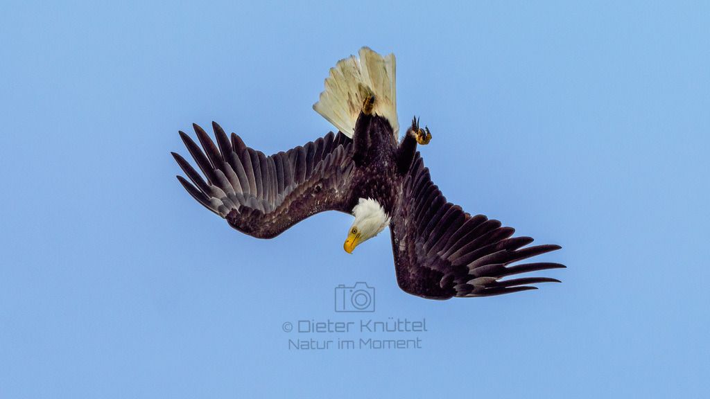 P1628532-LR | Natur im Moment - Realisiert mit Pictrs.com