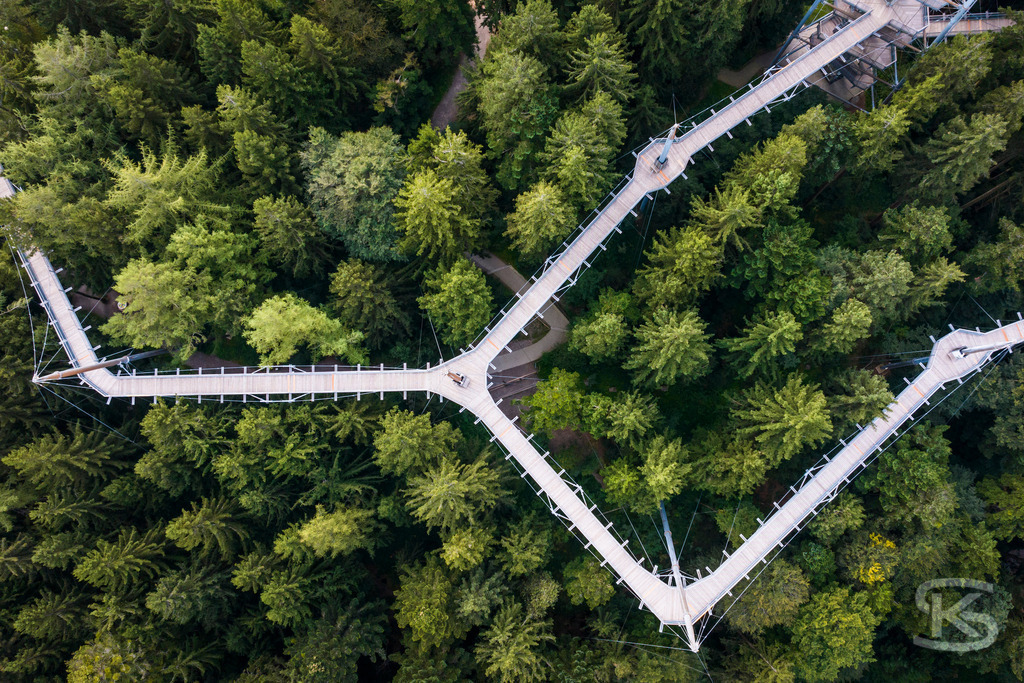 Der Baumwipfelpfad Skywalk – Spektakuläre Luftaufnahme der Waldwelt Allgäu | Erleben Sie den Skywalk Allgäu in Scheidegg aus einer einzigartigen Perspektive. Diese beeindruckende Drohnenaufnahme zeigt die Architektur des 540 Meter langen, barrierefreien Baumwipfelpfads inmitten der dichten Wälder des Westallgäus. Ein ideales Motiv für Reiseberichte und Informationen über eines der beliebtesten Natur-Ausflugsziele Süddeutschlands mit Blick bis zu den Alpen und zum Bodensee. - Realisiert mit Pictrs.com