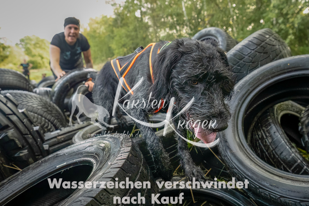 1056_ZZ90847-Bearbeitet | kk-dogfotos