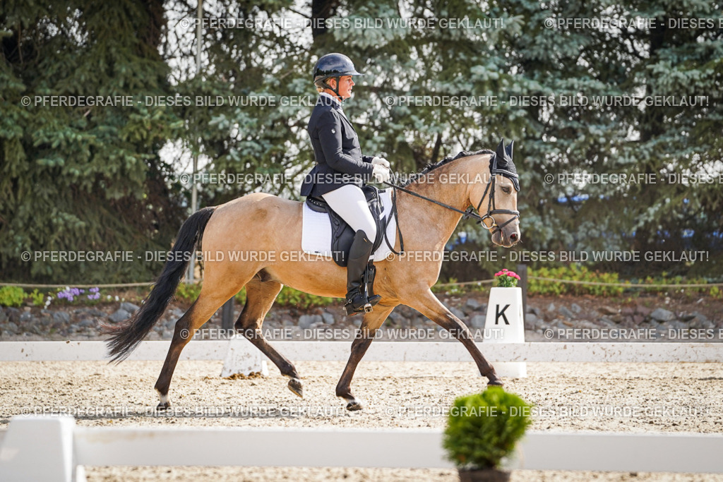 DSC06820 | Pferdegrafie