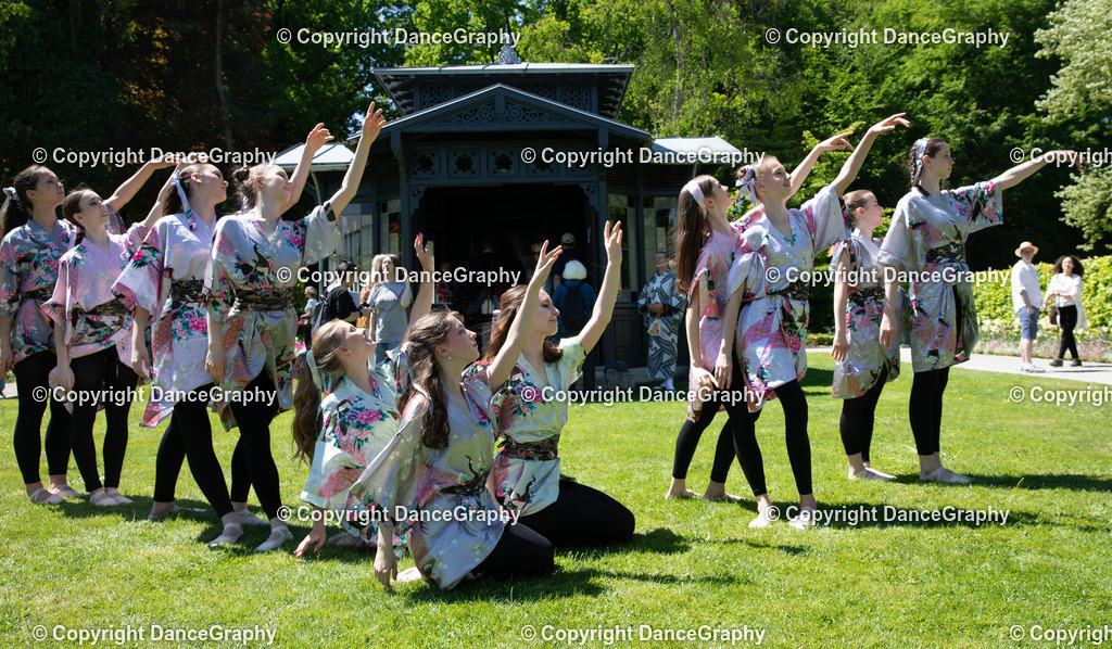 GPHY4007 | DanceGraphy - Realisiert mit Pictrs.com