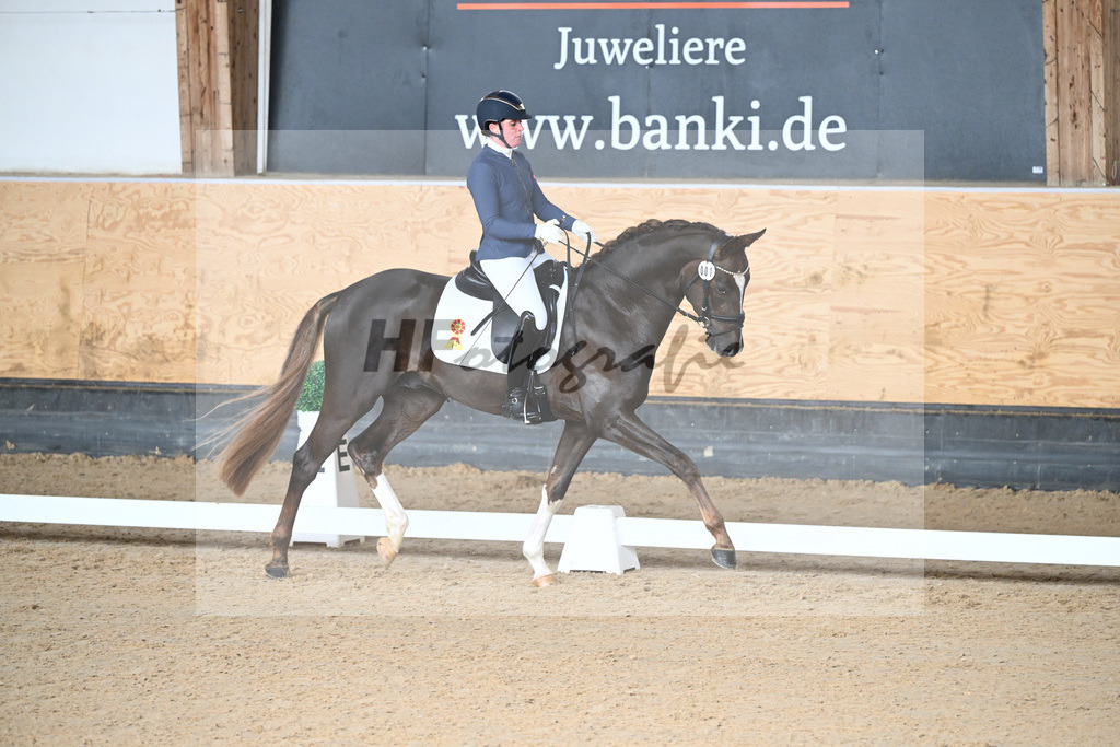 Kat-Nr. 1 Bastiano v. Benicio_Galneder_5240027 | hf-fotografie - Realisiert mit Pictrs.com