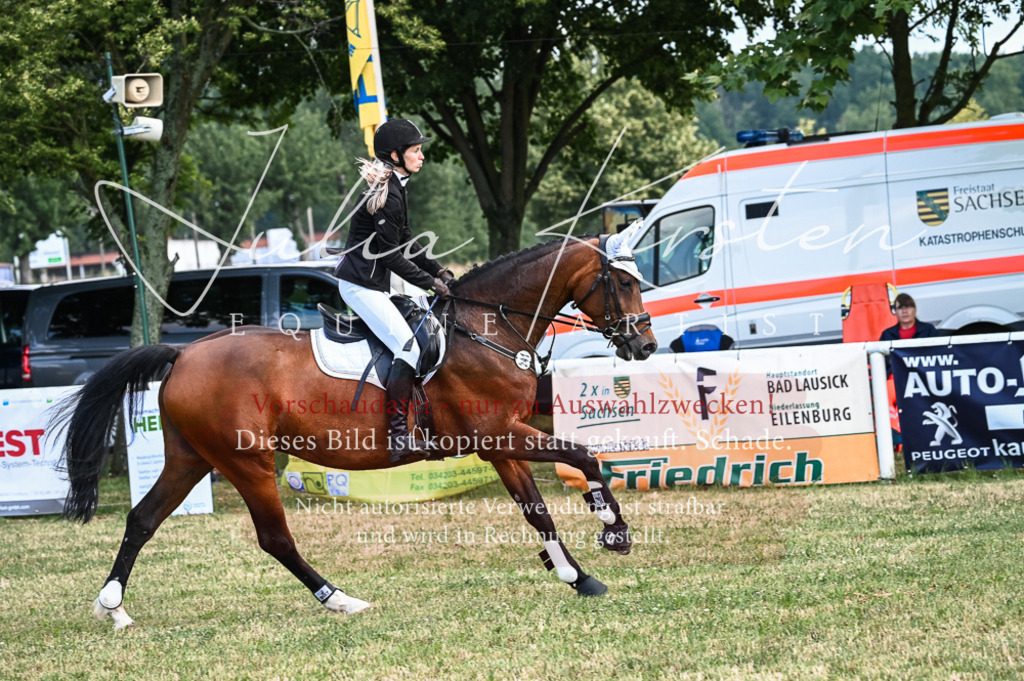 DSC_8053 | Pferde- und Turnierfotografie in Westsachsen. Pferdeportraits, Auftragszeichnungen und intuitive Kunst.