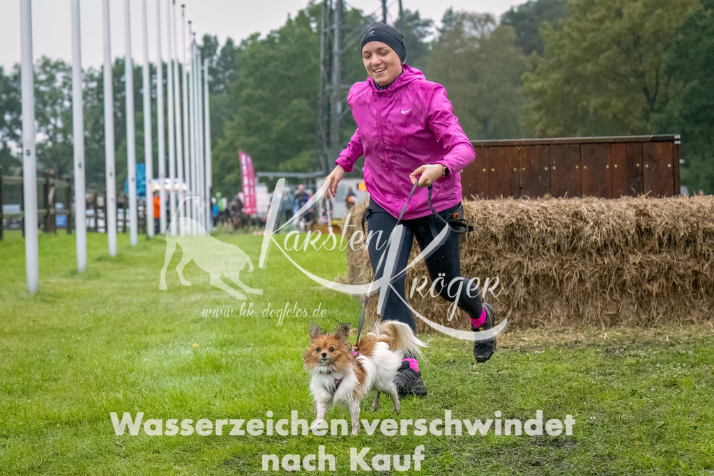 1022--17 | kk-dogfotos