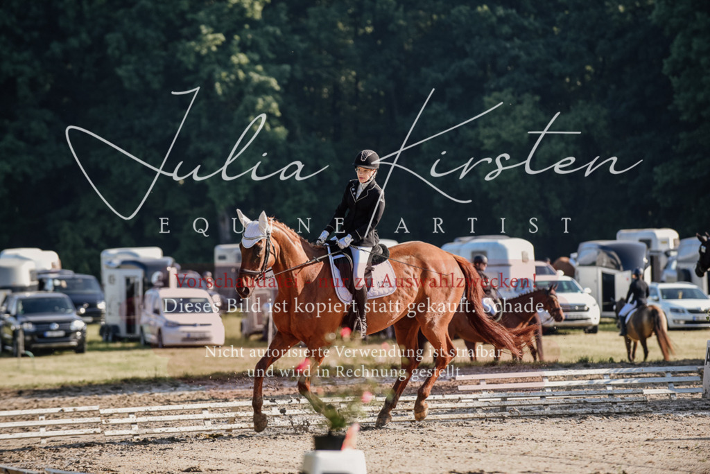 DSC_7733 | Pferde- und Turnierfotografie in Westsachsen. Pferdeportraits, Auftragszeichnungen und intuitive Kunst.