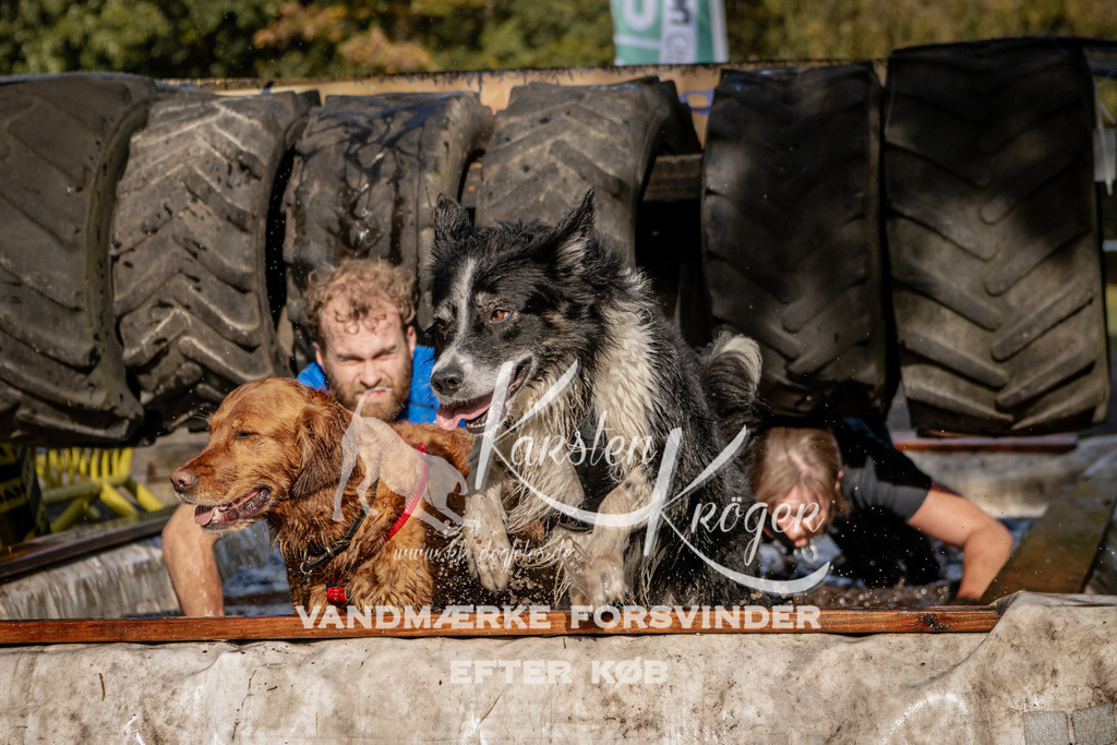 1302_ZZ91768 | kk-dogfotos