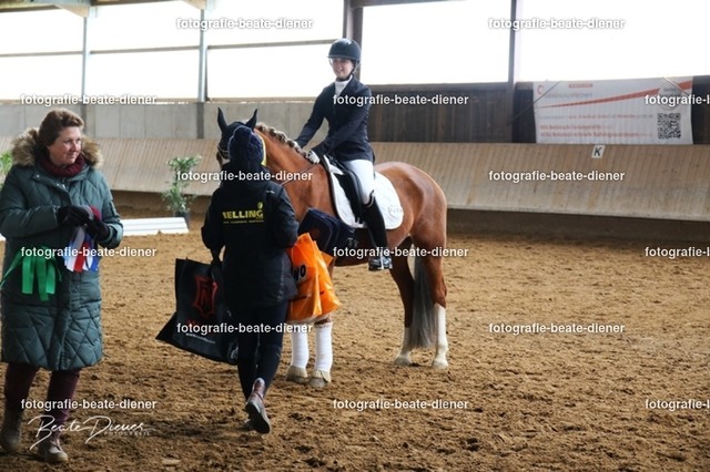 JugendTrophy0911 | Fotografie, Tiere, Hunde, Katzen, Pferde, Sportfotografie, Fotosession, Tierfotografie, Turnierfotografie, Fotografin, Fotograf - Realisiert mit Pictrs.com