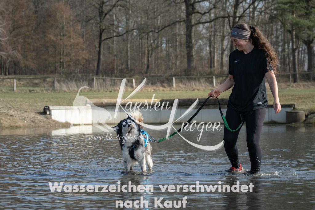 1330_ZZ96705 | kk-dogfotos