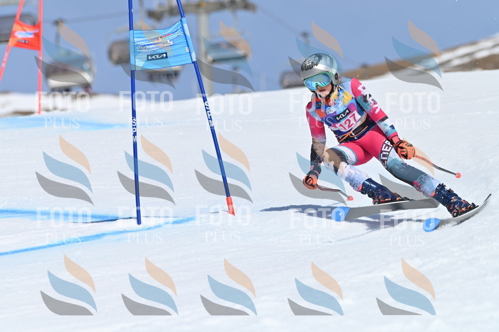 BGV_9935 | holidayphoto