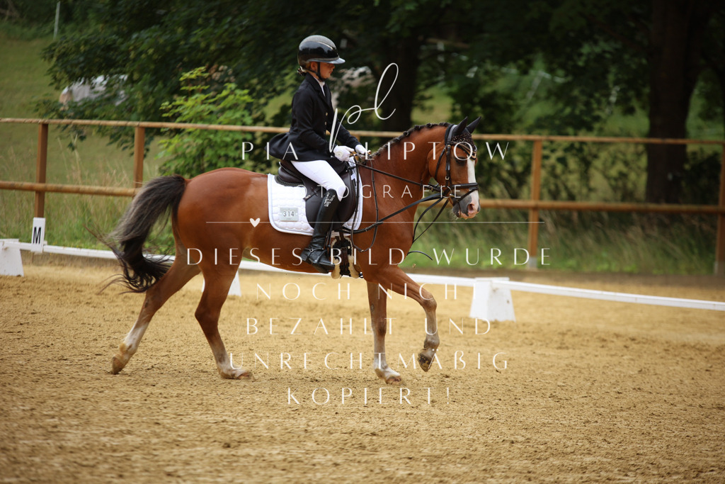 IMGM2589 | pl-fotografie