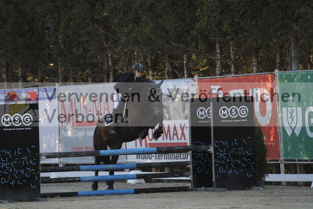 _MG_1062 | equestrian-live-com