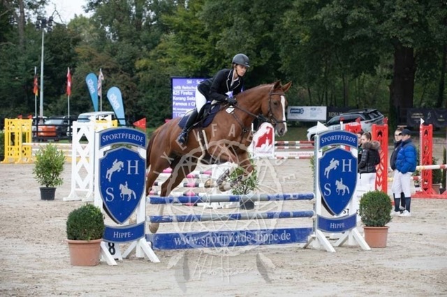 2B4A2315 | pixelfaenger - Realisiert mit Pictrs.com