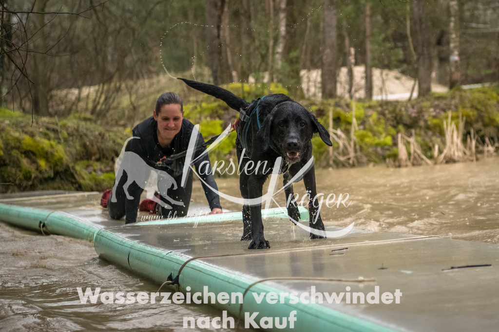 1057_ZZ93857-Bearbeitet | kk-dogfotos