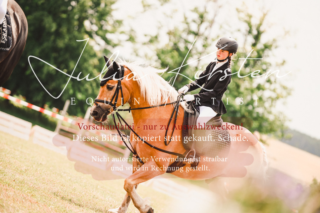 DSC_6210 | Pferde- und Turnierfotografie in Westsachsen. Pferdeportraits, Auftragszeichnungen und intuitive Kunst.