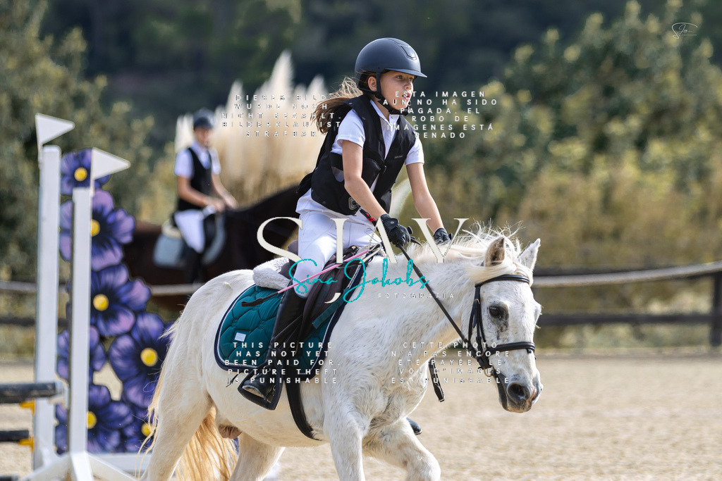 IMG_5238 | s-jay-photography - Realisiert mit Pictrs.com