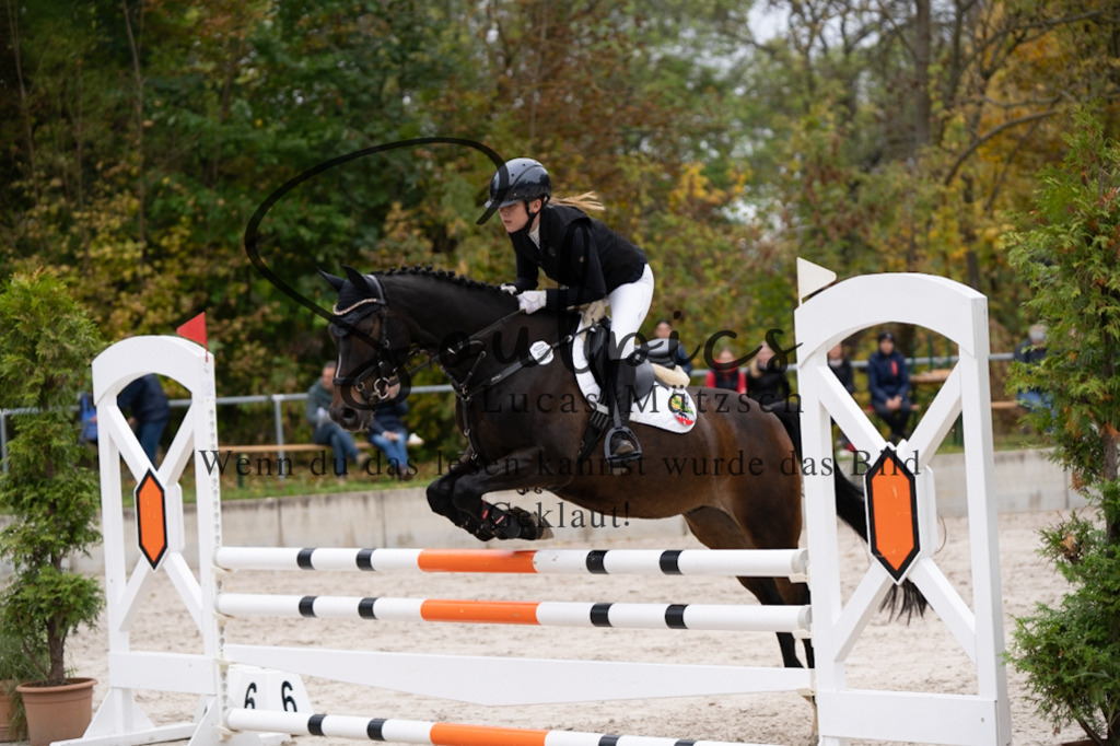 A7V08127 | Pferdefotograf