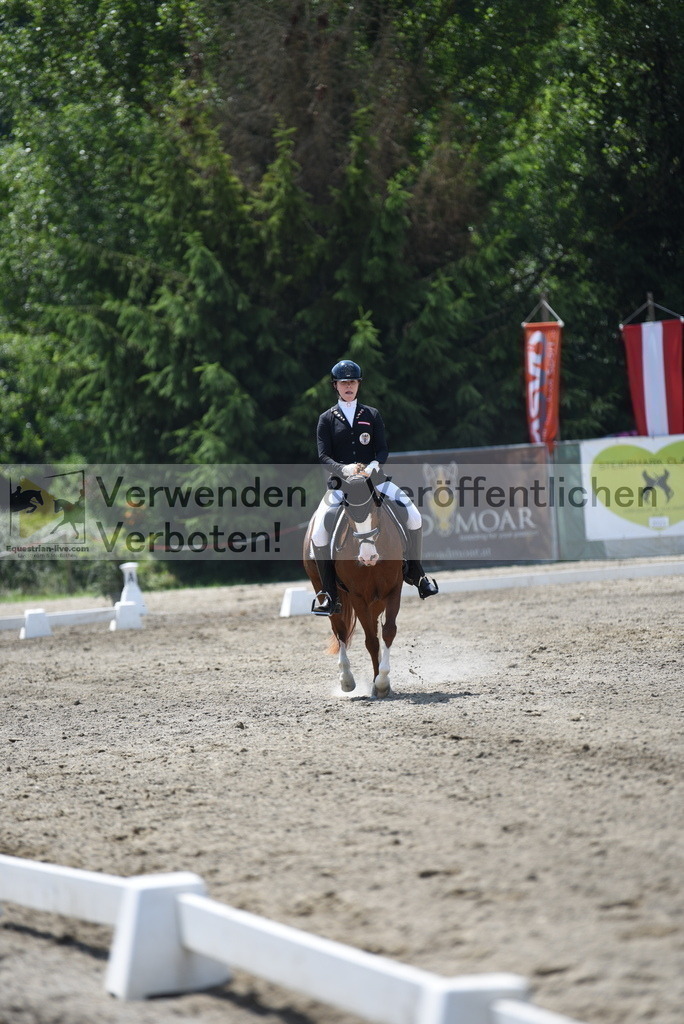 DSC_1153 | equestrian-live-com